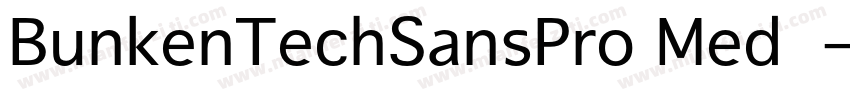 BunkenTechSansPro Med字体字体转换